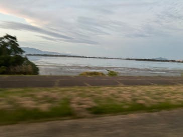 滋賀県立琵琶湖博物館に投稿された画像（2024/10/16）