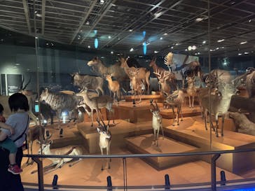 国立科学博物館に投稿された画像（2024/10/16）