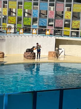 伊豆・三津シーパラダイスに投稿された画像（2024/10/16）