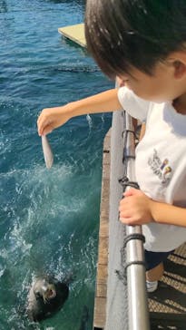 伊豆・三津シーパラダイスに投稿された画像（2024/10/16）