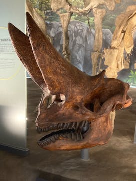 福井県立恐竜博物館に投稿された画像（2024/10/16）