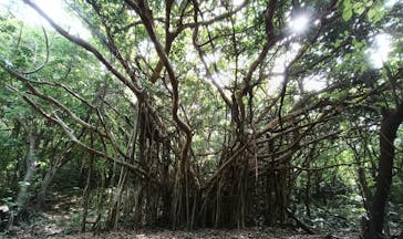 アスムイハイクスに投稿された画像（2024/10/16）