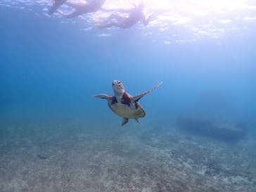 ちゃこたびに投稿された画像（2024/10/16）