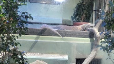 名古屋市東山動植物園に投稿された画像（2024/10/16）