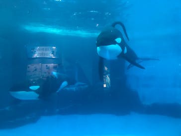 名古屋港水族館に投稿された画像（2024/10/16）