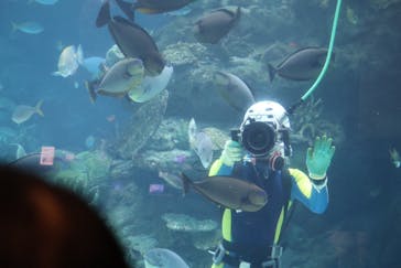 名古屋港水族館に投稿された画像（2024/10/16）