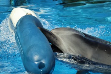 名古屋港水族館に投稿された画像（2024/10/16）