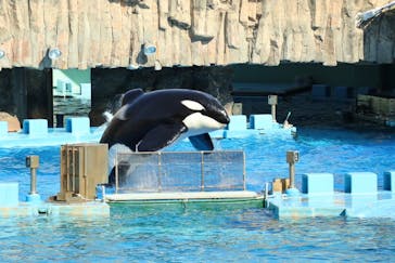 名古屋港水族館に投稿された画像（2024/10/16）