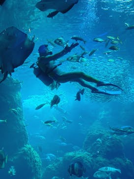 新江ノ島水族館に投稿された画像（2024/10/16）