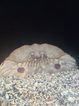 新江ノ島水族館に投稿された画像（2024/10/16）