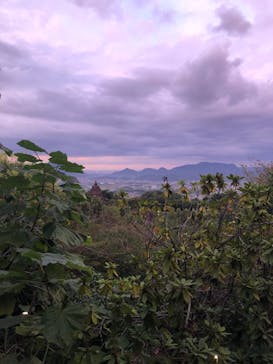 レオマリゾートに投稿された画像（2024/10/16）