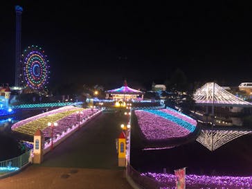 レオマリゾートに投稿された画像（2024/10/16）