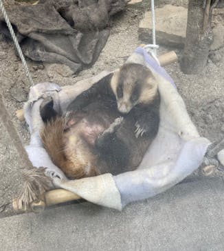 天王寺動物園に投稿された画像（2024/10/16）