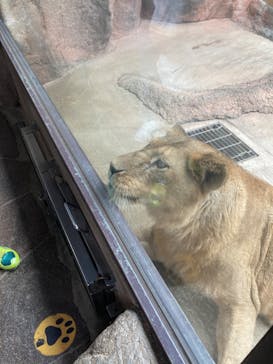 天王寺動物園に投稿された画像（2024/10/16）