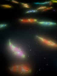 チームラボプラネッツ TOKYO DMMに投稿された画像（2024/10/16）