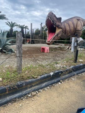 伊豆ぐらんぱる公園に投稿された画像（2024/10/16）