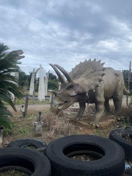 伊豆ぐらんぱる公園に投稿された画像（2024/10/16）