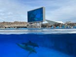 名古屋港水族館に投稿された画像（2024/10/16）