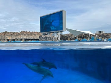 名古屋港水族館に投稿された画像（2024/10/16）