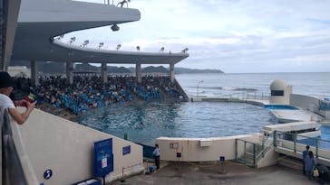 鴨川シーワールドに投稿された画像（2024/10/16）