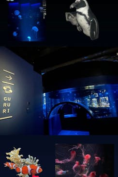 京都水族館に投稿された画像（2024/10/16）