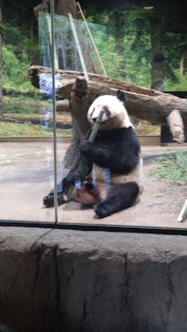 恩賜上野動物園に投稿された画像（2024/10/16）