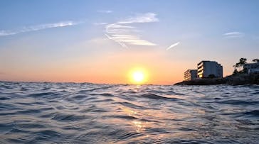 葉山ダイビングサービスに投稿された画像（2024/10/16）