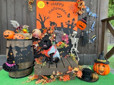 わんダフルネイチャーヴィレッジに投稿された画像（2024/10/16）