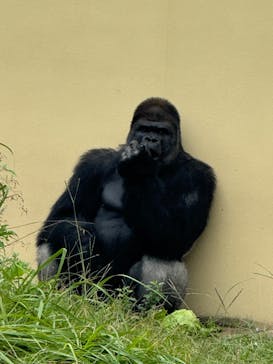 名古屋市東山動植物園に投稿された画像（2024/10/16）