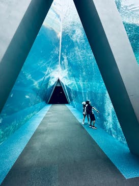 環境水族館アクアマリンふくしまに投稿された画像（2024/10/16）