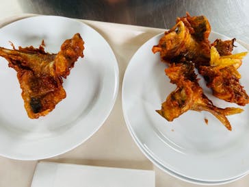 環境水族館アクアマリンふくしまに投稿された画像（2024/10/16）