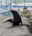 京都水族館に投稿された画像（2024/10/17）