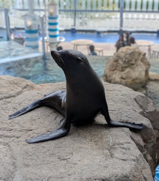 京都水族館に投稿された画像（2024/10/16）
