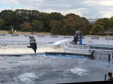京都水族館に投稿された画像（2024/10/16）