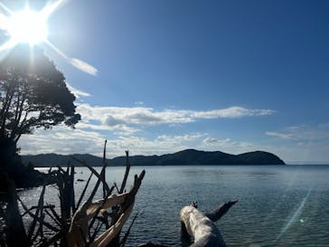 OUTISE（アウティーズ）に投稿された画像（2024/10/16）