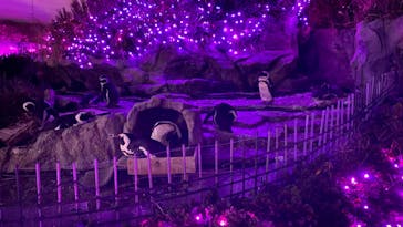 サンシャイン水族館に投稿された画像（2024/10/17）