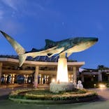 沖縄美ら海水族館に投稿された画像（2024/10/17）