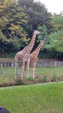 名古屋市東山動植物園に投稿された画像（2024/10/17）