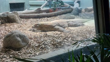 名古屋市東山動植物園に投稿された画像（2024/10/17）