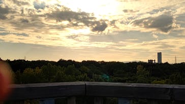 万博記念公園×万博BEAST（ビースト）に投稿された画像（2024/10/17）