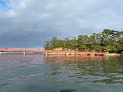 松島リブツアーに投稿された画像（2024/10/17）