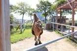 神戸どうぶつ王国に投稿された画像（2024/10/17）