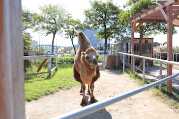 神戸どうぶつ王国に投稿された画像（2024/10/17）