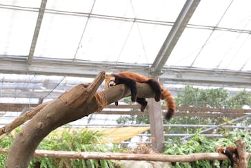 神戸どうぶつ王国に投稿された画像（2024/10/17）