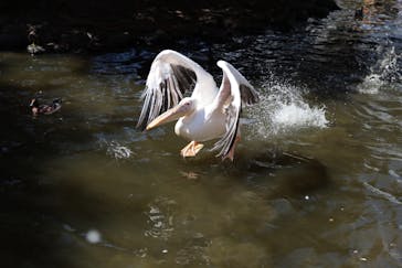 神戸どうぶつ王国に投稿された画像（2024/10/17）