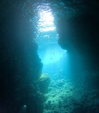 沖縄マリンサービス碧に投稿された画像（2024/10/17）