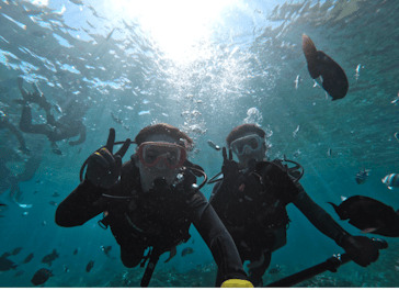 武藤潜水に投稿された画像（2024/10/17）