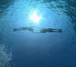 Sea World（シーワールド）に投稿された画像（2024/10/17）