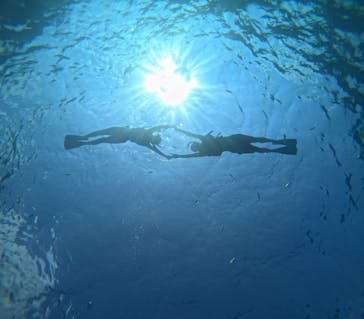 Sea World（シーワールド）に投稿された画像（2024/10/17）