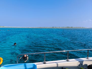 Sea World（シーワールド）に投稿された画像（2024/10/17）